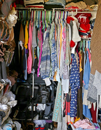 The Great Closet Cleanout